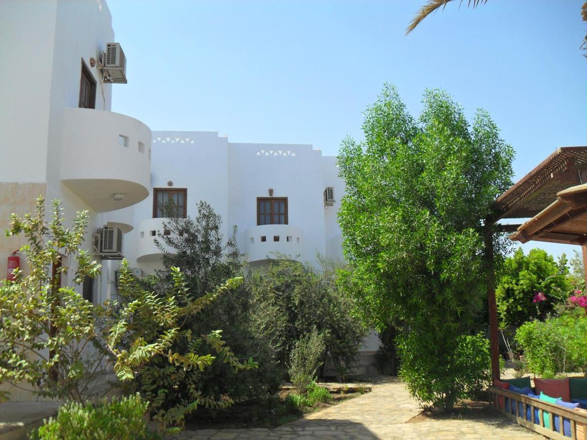 Alaska Camp & Hotel Dahab Quarto foto
